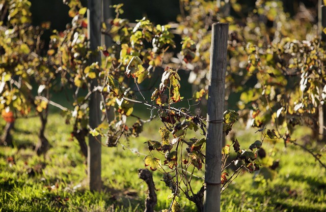 ibis budget Pouilly-en-Auxois