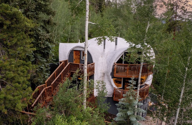 Iconic Vail Unique Dome Home in Mtns | D3