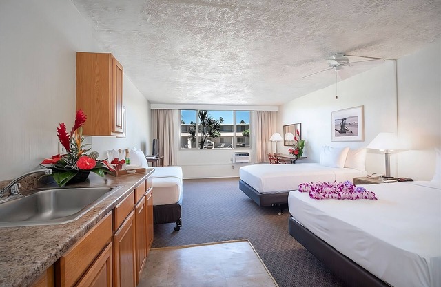 Ideal Family Getaway! 3 Accommodations that Welcome Pets Near Kanaha Beach Park!