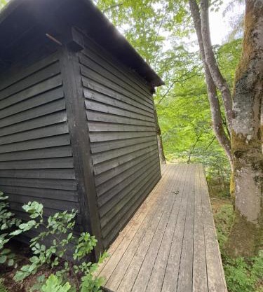 Idylisk primitiv hytte midt i skoven