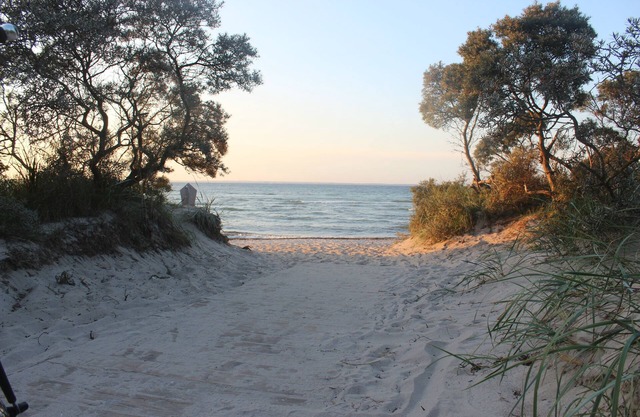 Idyllic Baltic Sea between Priwall-Boltenhagen with swimming pool, sauna, WiFi and pure nature