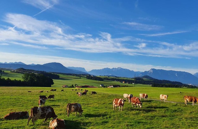 Idyllische Designer-Apartments am Bio-Bauernhof in SalzburgerSeenland Schmiding 10