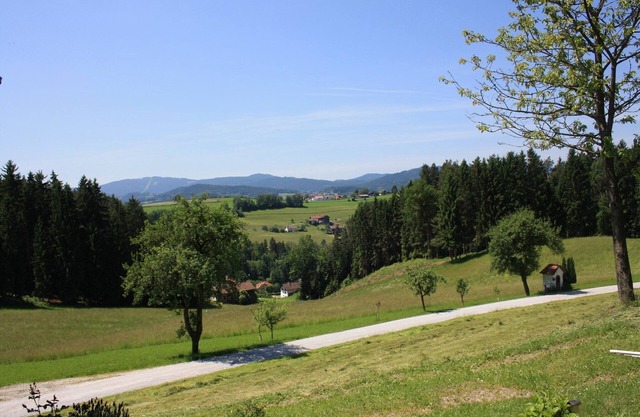 Idyllisches Ferienhaus mit Wald in der Nähe