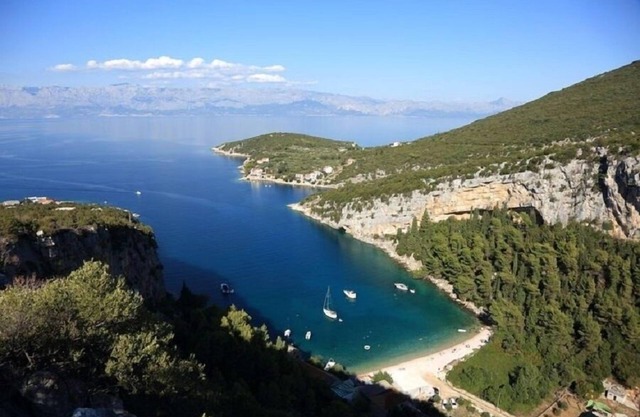 Igor - 5 m From Beach - C