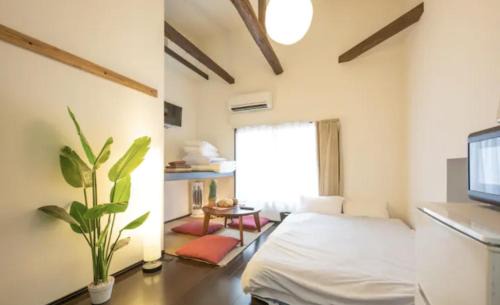 iine house hatagaya