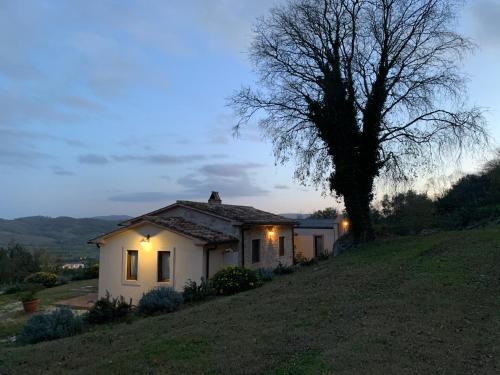 Il Nido del Falco nelle Antiche Mura