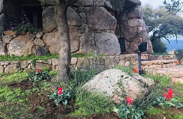 Il Nuraghe Del Lago Coghinas