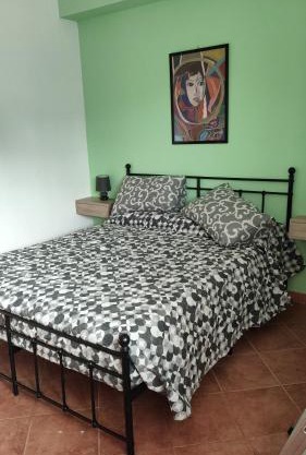 Il Tulipano