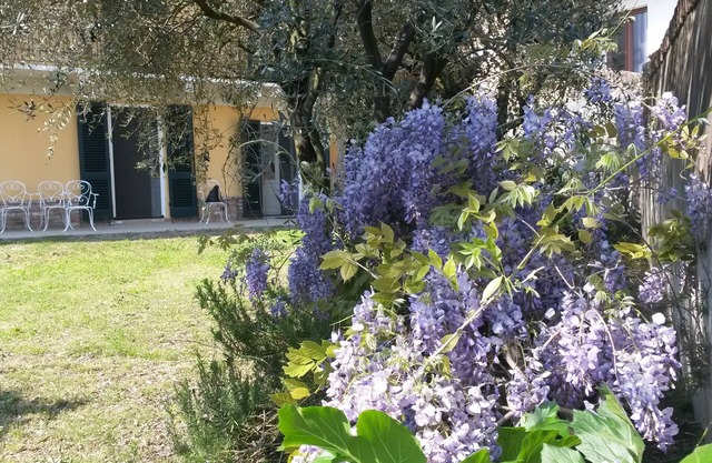 Immersed in the green relaxation of an authentic farmhouse and convenient to services