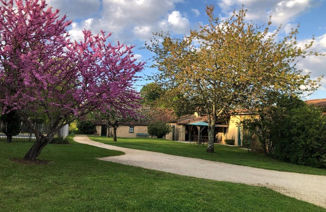 In a green setting, pretty farm (producing walnuts and strawberries), swimming pool