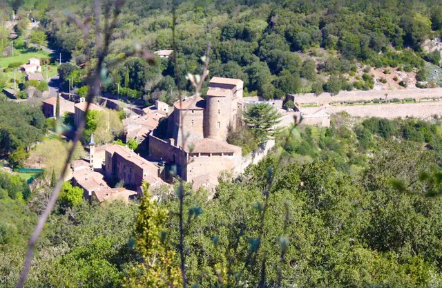 In a medieval village, sunny, spacious gite, surrounded by nature