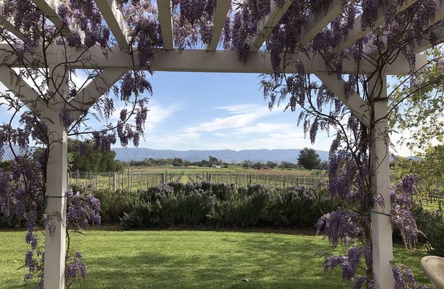 In the Heart of Los Olivos- Luxury Wine Country- on our Vineyard!