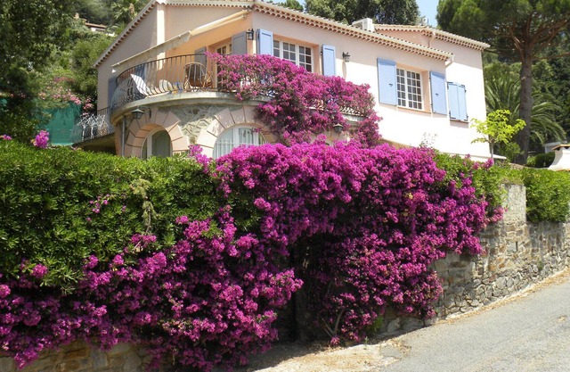 In the quietness, facing the sea, with a large shaded garden