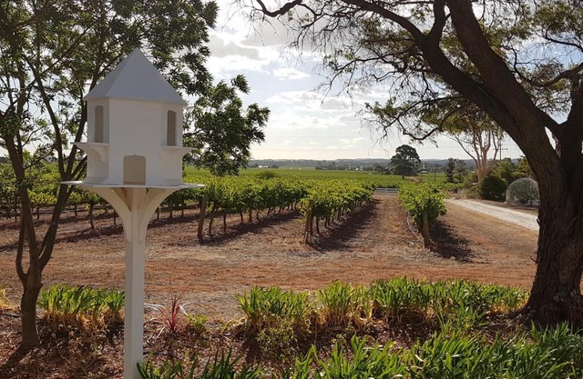 'In The Vines' Guest Cottage, Barossa Valley