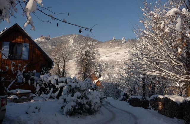 Independent lodging in a huge private park in Ribeauville