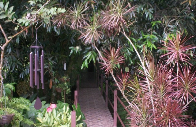 Inlakech: Tropical, Magical & Charm