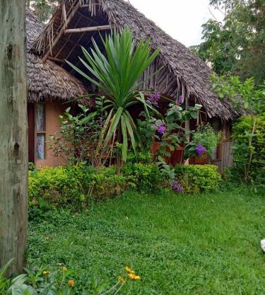 Irente Kinyonga Cottage