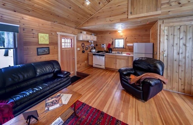 Isolated Charming Knotty Pine Cottage on 575 Acre Forest Preserve
