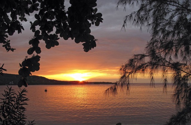 Jamaica Paradise Rio Bueno Discovery Bay