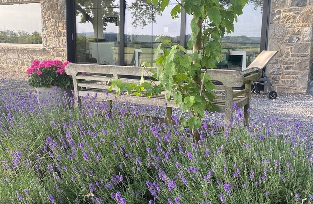 Jolie maison de vacances, cadre exceptionnel * Exceptionnal location