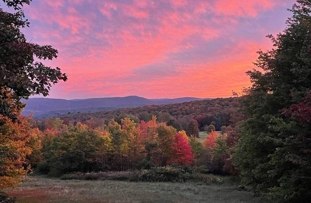 Journey’s End: A Peaceful Cabin Getaway in the Catskills