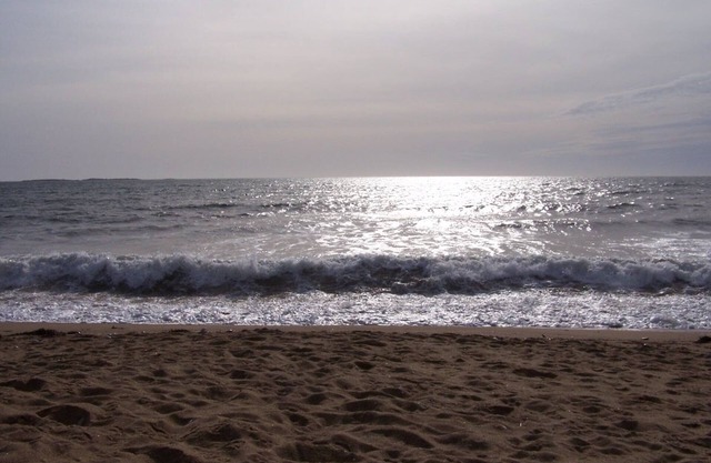Just Feet to the Beach Family Friendly! In the center of OOB near everything!