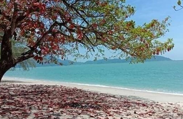 Kamila Teluk Senangin