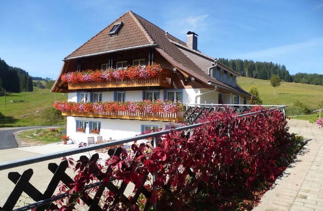 Kamille - Holiday apartment with balcony, Gästehaus Josenmühle