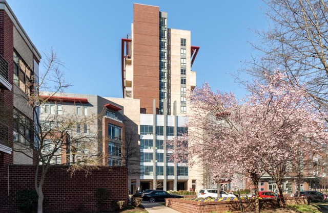 Kasa Alexandria Washington