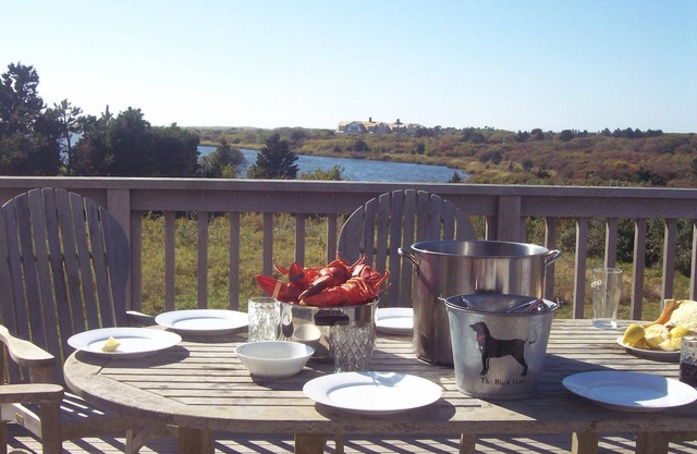 Katama home with cove & ocean views. Surround yourself with nature and birdsong!