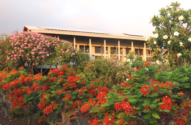 Kepharts' Ocean-view Hale: A Home Away from Home