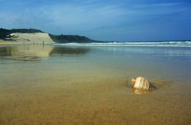 KICKBACK BEACH SHACK @FORSTER - Walk to One Mile Beach !