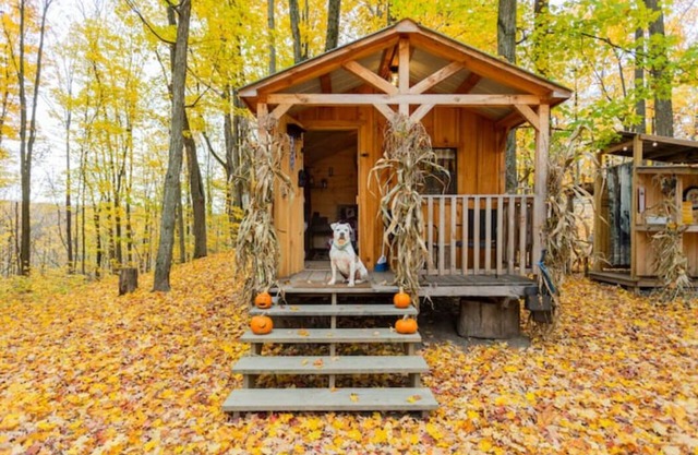 Kid-Friendly Camping - 15 minutes to Six Flags!