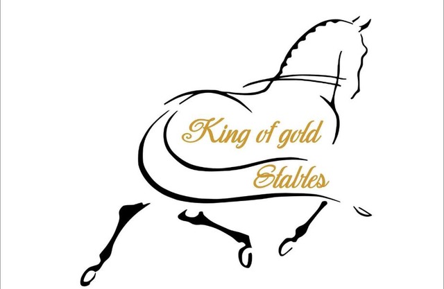 King of Gold Stables appartement met stalling voor 5 paarden