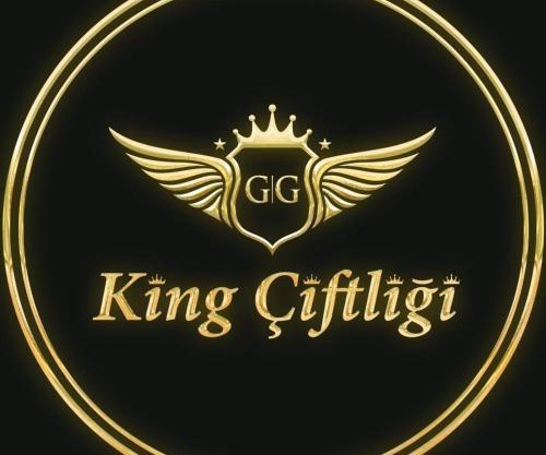 King Pansiyon