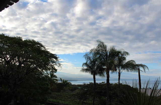 Kohala Kai Gardens with Panoramic Ocean Views