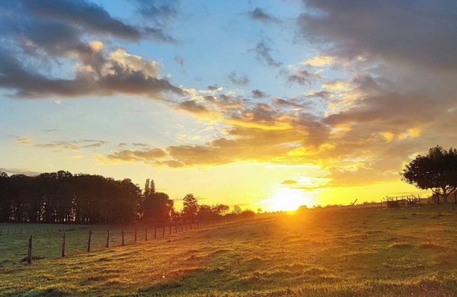 Kohrener Land - FW "Enni" in Ober-Frankenhain in the Neuseenland region