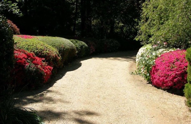 Koonawarra | Mt Wilson | 24 acres of Established Heritage Botanical Gardens