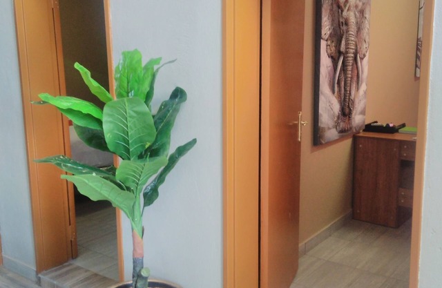 Kopong Guest House