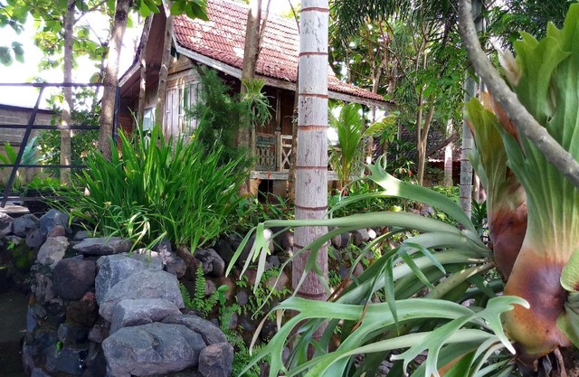 Kubu Reod