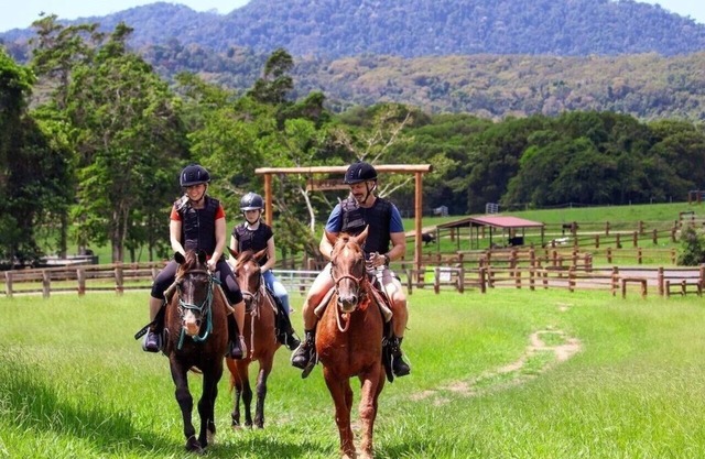 Kur Cow Farmstay