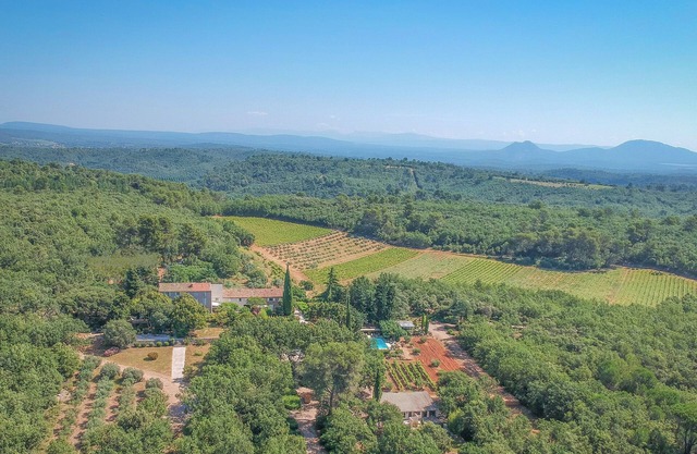 Lovely gite on a vineyard. large swimming pool, very peaceful