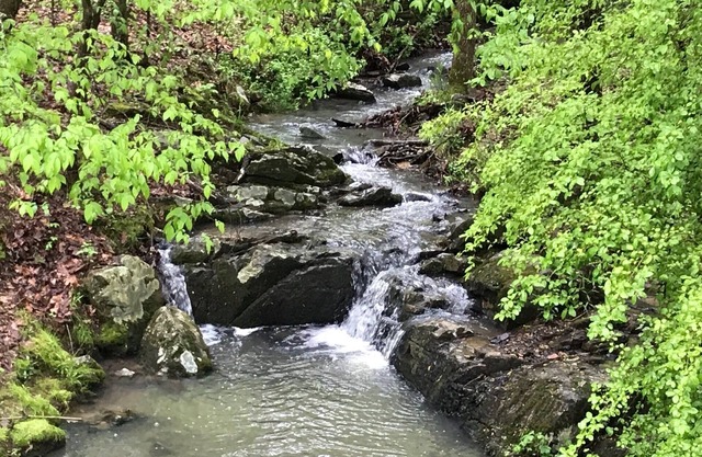 L@K Resort Living on 2 Wooded Acres. Amazing! Outdoor Fun! Hot Springs