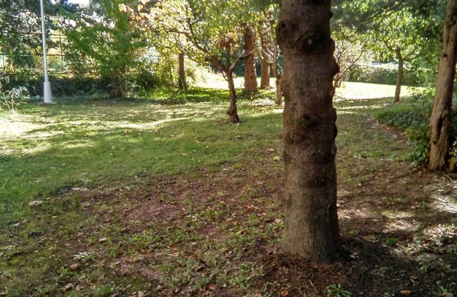 La Buhardilla apartment of 50m