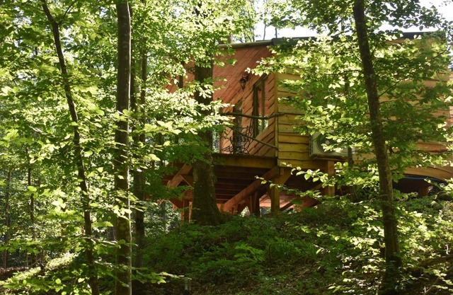 La cabane aux écureuils