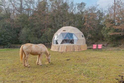 La Cabane aux Chevaux