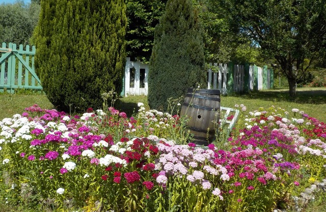 La Colline aux Fustes