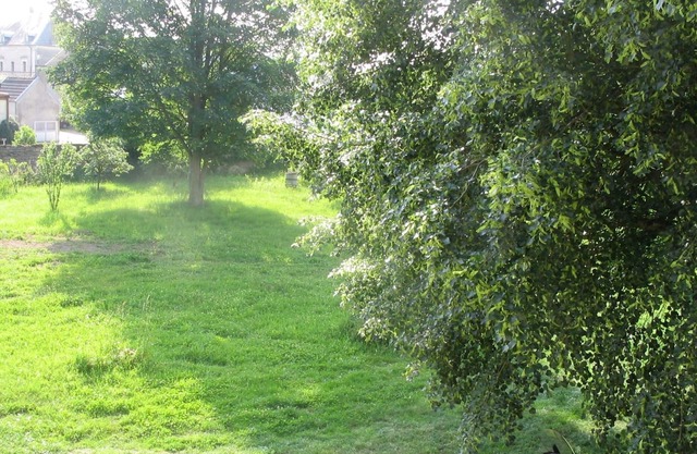 La Coutrotte Becquine