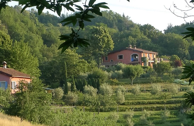 La Fattoria Farmhouse with La Stalla Apartment (Sleeps 14, 7 Bedrooms)