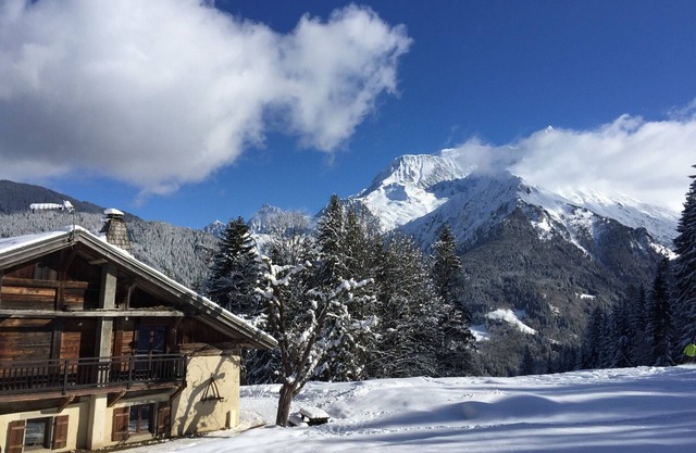 La Ferme des Ours - Skis aux pieds - Saint Gervais